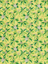 Scalamandre SC 000216454M PINEAPPLE RHODODENDRON - OUTDOOR Fabric - Eade's Wallpaper