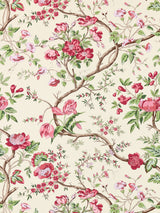 Scalamandre SC 000216651 HEIRLOOM ROSE PERSEPHONE PRINT Fabric - Eade's Wallpaper