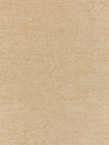 Scalamandre SC 000227147 CHAMPAGNE LUNA WEAVE Fabric - Eade's Wallpaper