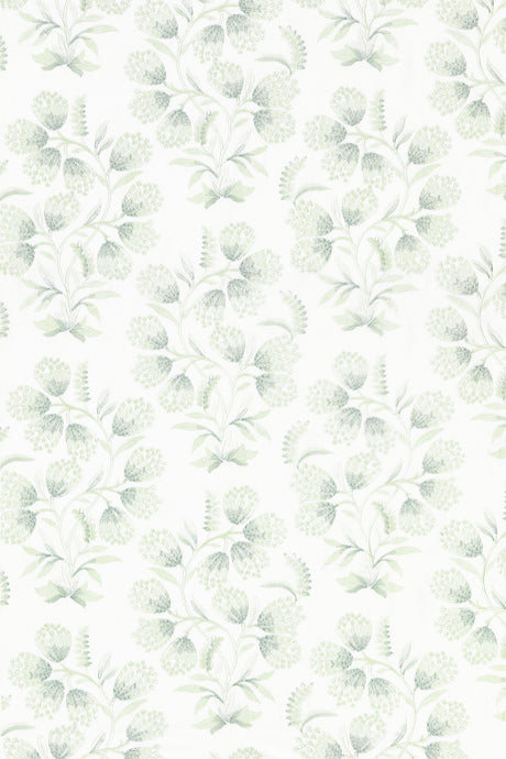Scalamandre SC 000227233 EUCALYPTUS HANA EMBROIDERY Fabric - Eade's Wallpaper