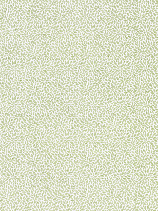 Scalamandre SC 000227239 FERN RISA WEAVE Fabric - Eade's Wallpaper
