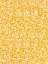 Scalamandre SC 000227316 TANGERINE BACKYARD BENGAL Fabric - Eade's Wallpaper