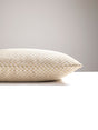 Scalamandre SC 0002SDDK27022 ETOSHA VELVET PILLOW - Pillow C