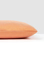 Scalamandre SC 0002SDDK27068 BIRD'S EYE OUTDOOR PILLOW - Pil
