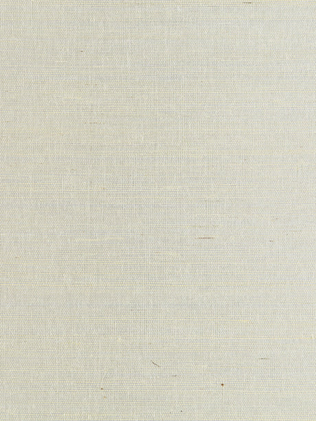 Scalamandre SC 0002WP88338 ICE METAL SISAL WALLPAPER - Eade's Wallpaper