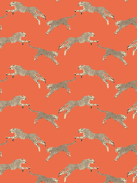 Scalamandre SC 0002WP88449 CLEMENTINE LEAPING CHEETAH WALLPAPER - Eade's Wallpaper