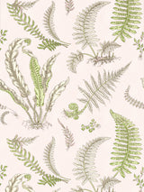 Scalamandre SC 0002WP88592D BALLET SLIPPER ELSIE DE WOLFE WALLPAPER - Eade's Wallpaper