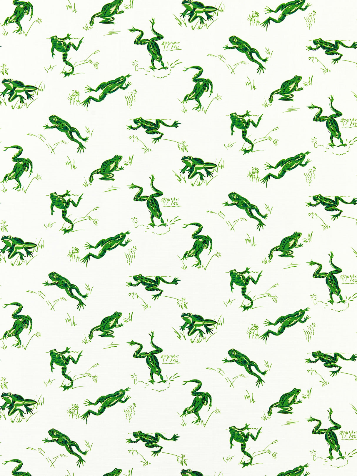 Scalamandre SC 000316426M SNAP PEA CALABASAS COUNTY - OUTDOOR Fabric - Eade's Wallpaper