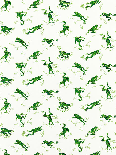 Scalamandre SC 000316426M SNAP PEA CALABASAS COUNTY - OUTDOOR Fabric - Eade's Wallpaper