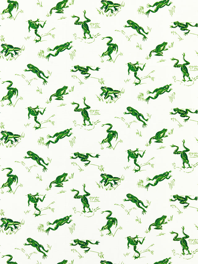 Scalamandre SC 000316426M SNAP PEA CALABASAS COUNTY - OUTDOOR Fabric - Eade's Wallpaper
