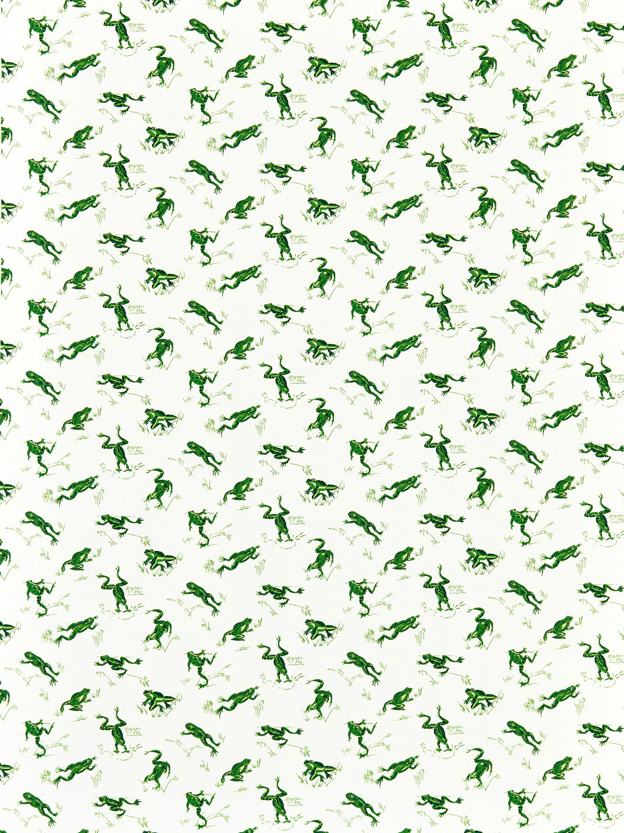 Scalamandre SC 000316426M SNAP PEA CALABASAS COUNTY - OUTDOOR Fabric - Eade's Wallpaper