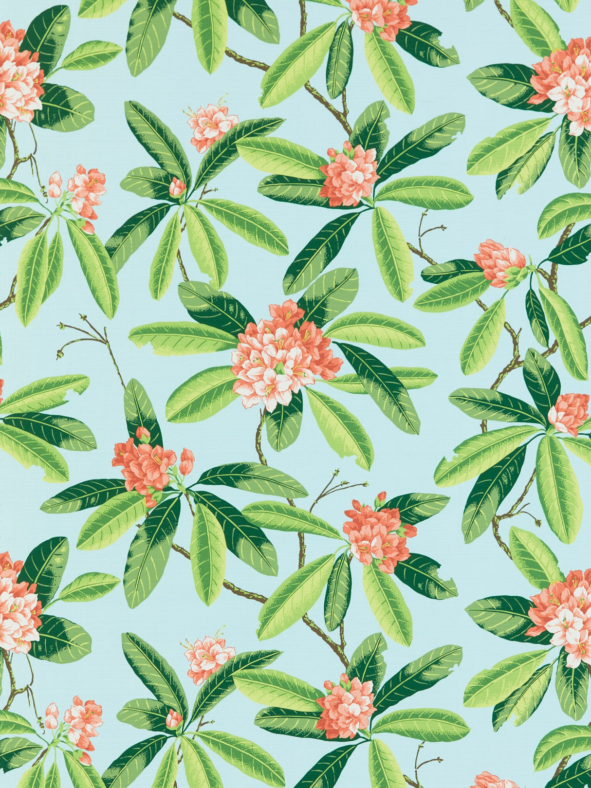 Scalamandre SC 000316454M CORAL ON AQUA RHODODENDRON - OUTDOOR Fabric - Eade's Wallpaper
