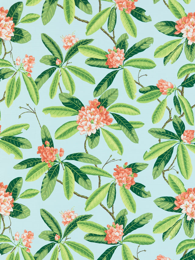 Scalamandre SC 000316454M CORAL ON AQUA RHODODENDRON - OUTDOOR Fabric - Eade's Wallpaper