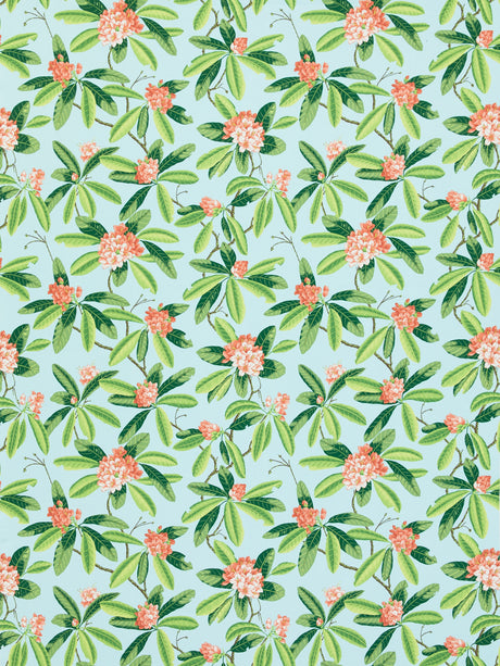 Scalamandre SC 000316454M CORAL ON AQUA RHODODENDRON - OUTDOOR Fabric - Eade's Wallpaper