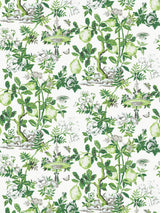 Scalamandre SC 000316583 VERDANCE SHANTUNG GARDEN COTTON PRINT Fabric - Eade's Wallpaper