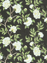 Scalamandre SC 000316616 ONYX PEONIA LINEN PRINT Fabric - Eade's Wallpaper