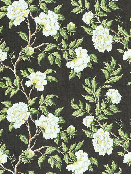 Scalamandre SC 000316616 ONYX PEONIA LINEN PRINT Fabric - Eade's Wallpaper