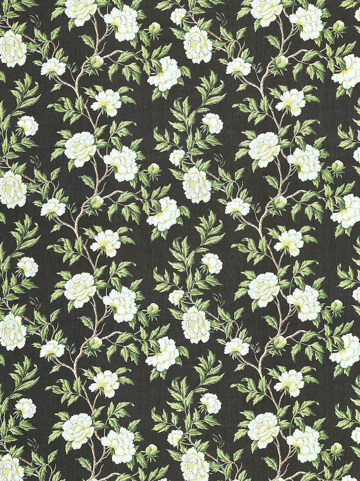Scalamandre SC 000316616 ONYX PEONIA LINEN PRINT Fabric - Eade's Wallpaper