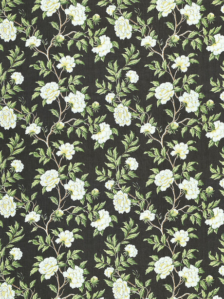 Scalamandre SC 000316616 ONYX PEONIA LINEN PRINT Fabric - Eade's Wallpaper