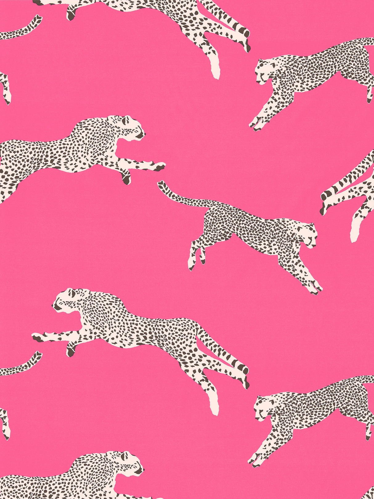 Scalamandre SC 000316634 BUBBLEGUM LEAPING CHEETAH COTTON PRINT Fabric - Eade's Wallpaper