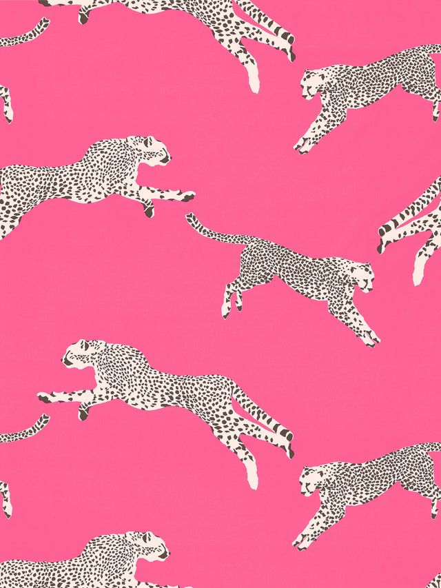 Scalamandre SC 000316634 BUBBLEGUM LEAPING CHEETAH COTTON PRINT Fabric - Eade's Wallpaper