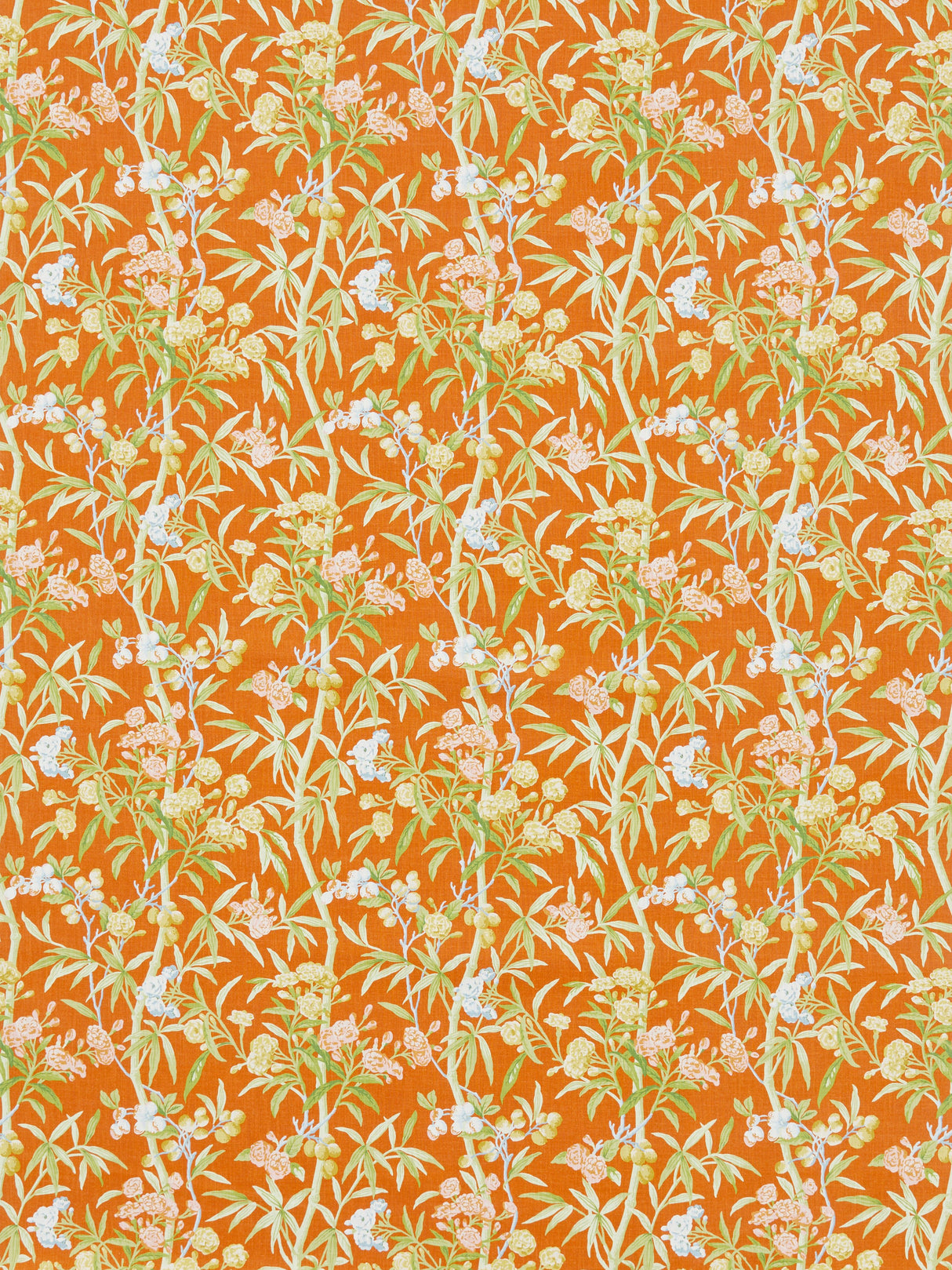 Scalamandre SC 000316638 GUAVA LANAI - OUTDOOR Fabric - Eade's Wallpaper