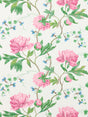 Scalamandre SC 000316650 PETAL ISADORA PRINT Fabric - Eade's Wallpaper