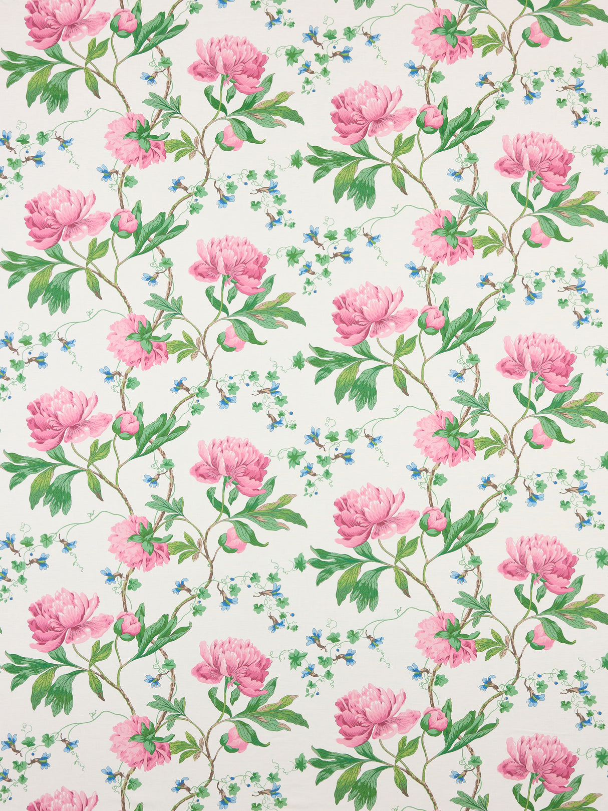 Scalamandre SC 000316650 PETAL ISADORA PRINT Fabric - Eade's Wallpaper