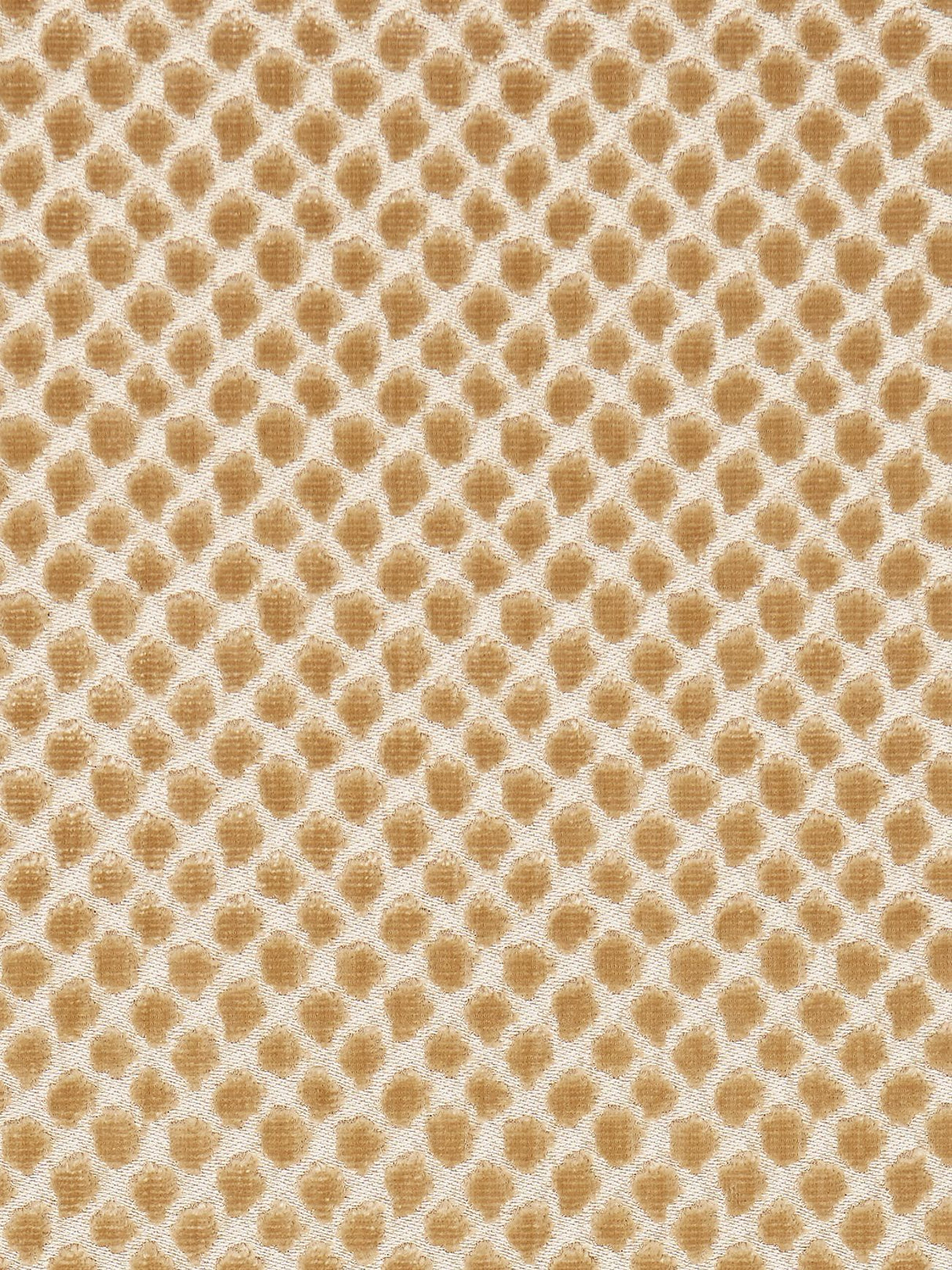 Scalamandre SC 000327022 PALOMINO ETOSHA VELVET Fabric - Eade's Wallpaper