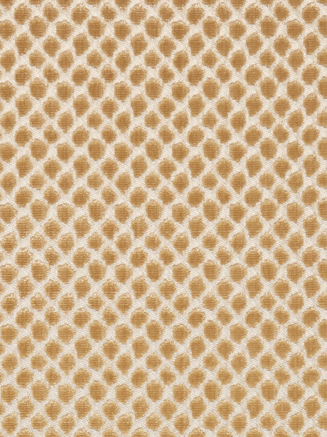 Scalamandre SC 000327022 PALOMINO ETOSHA VELVET Fabric - Eade's Wallpaper