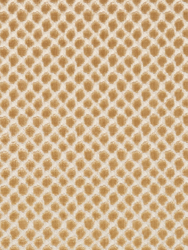 Scalamandre SC 000327022 PALOMINO ETOSHA VELVET Fabric - Eade's Wallpaper