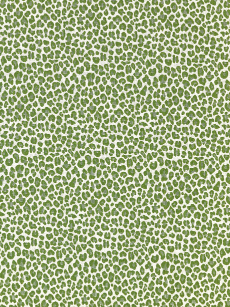 Scalamandre SC 000327316 IVY BACKYARD BENGAL Fabric - Eade's Wallpaper