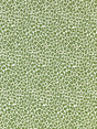 Scalamandre SC 000327316 IVY BACKYARD BENGAL Fabric - Eade's Wallpaper