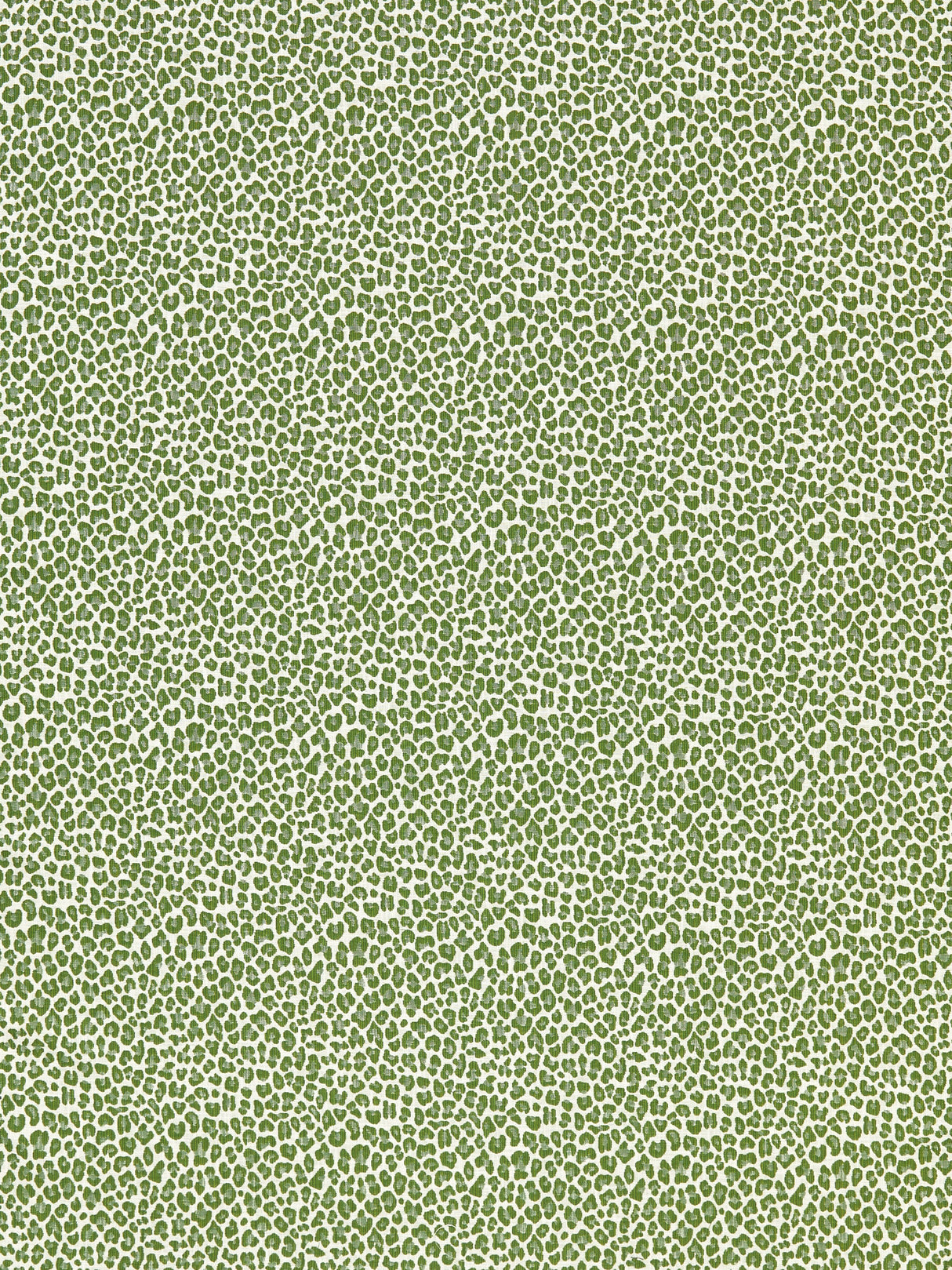 Scalamandre SC 000327316 IVY BACKYARD BENGAL Fabric - Eade's Wallpaper