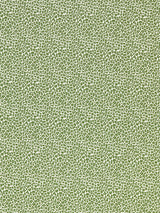 Scalamandre SC 000327316 IVY BACKYARD BENGAL Fabric - Eade's Wallpaper