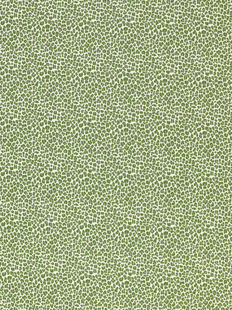 Scalamandre SC 000327316 IVY BACKYARD BENGAL Fabric - Eade's Wallpaper