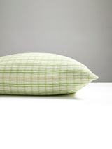 Scalamandre SC 0003CHECKPILL CHECK PLEASE OUTDOOR PILLOW - P