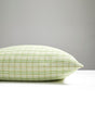 Scalamandre SC 0003CHECKPILL CHECK PLEASE OUTDOOR PILLOW - P