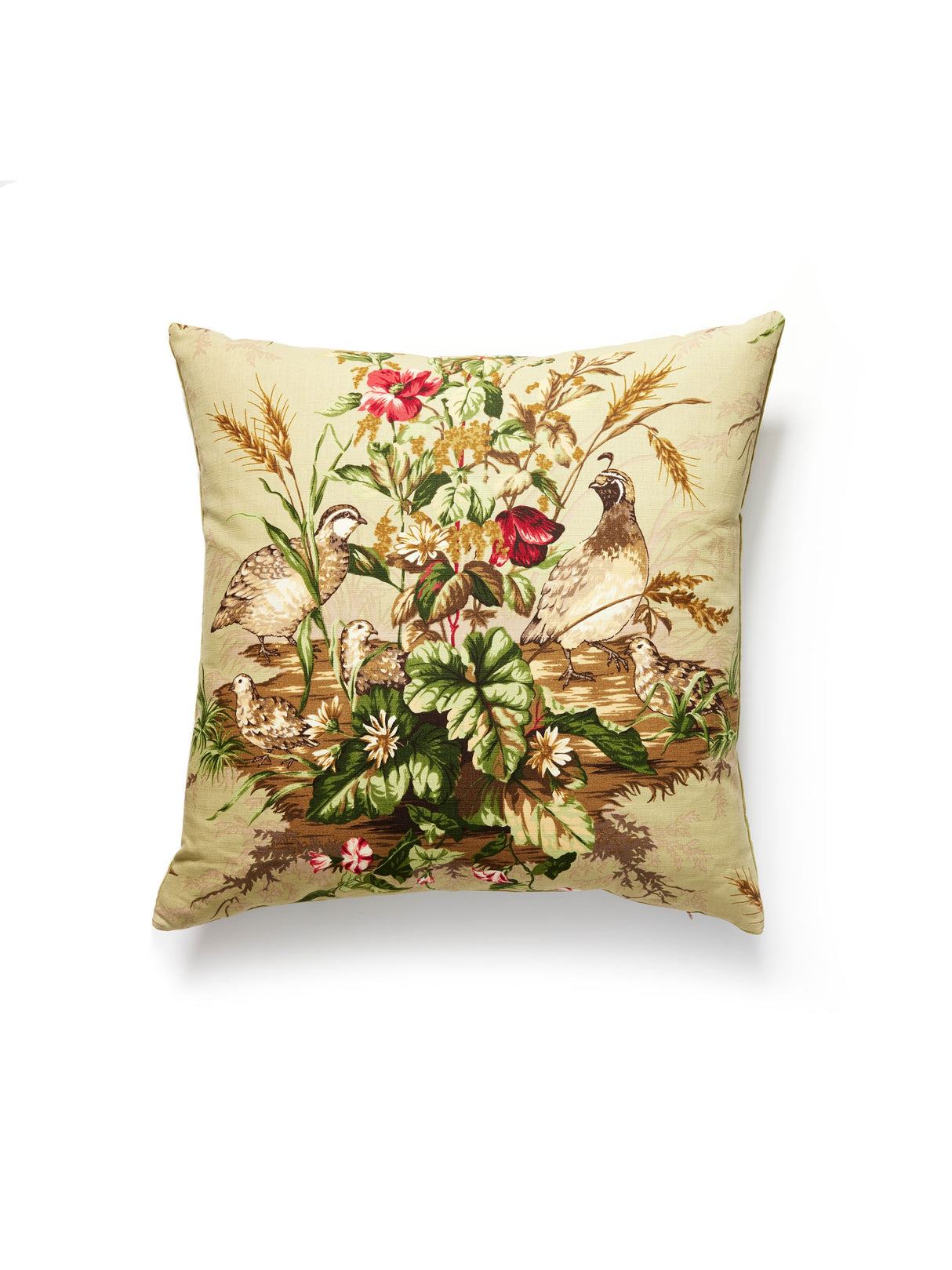 Scalamandre SC 0003EDWINPILL EDWIN'S COVEY PILLOW - Pillow C