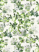 Scalamandre SC 0003WP88377 VERDANCE SHANTUNG GARDEN WALLPAPER - Eade's Wallpaper