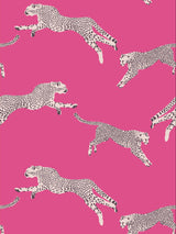 Scalamandre SC 0003WP88449D BUBBLEGUM LEAPING CHEETAH WALLPAPER - Eade's Wallpaper