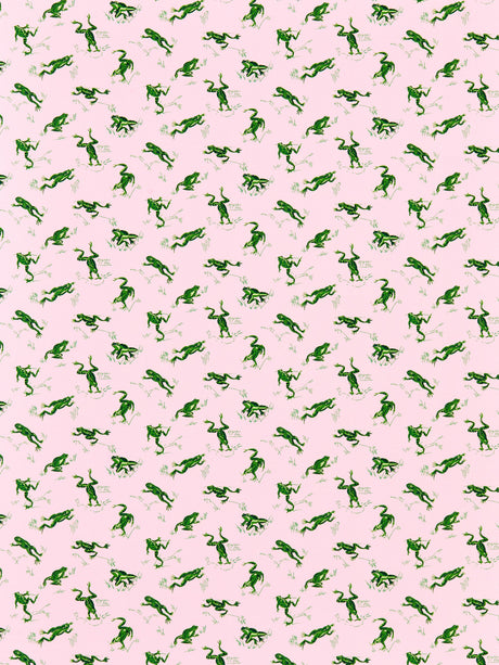 Scalamandre SC 000416426M CAMELIA CALABASAS COUNTY - OUTDOOR Fabric - Eade's Wallpaper