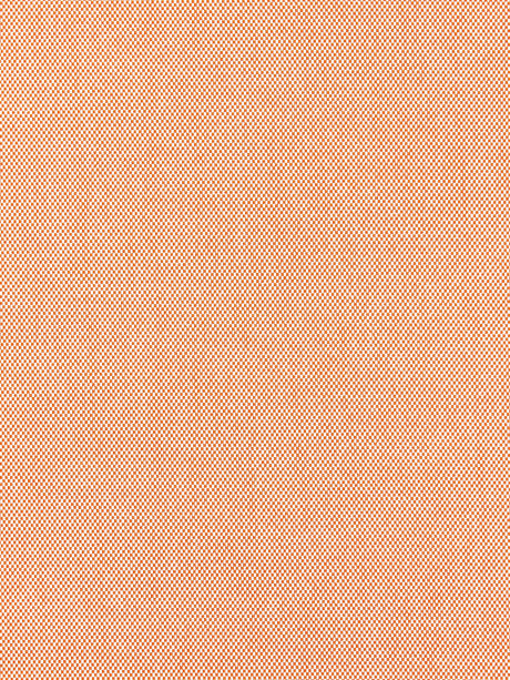 Scalamandre SC 000427066 MANGO HOPSACK Fabric - Eade's Wallpaper