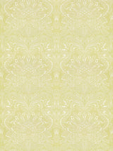 Scalamandre SC 000427081 PERIDOT CARLOTTA DAMASK Fabric - Eade's Wallpaper