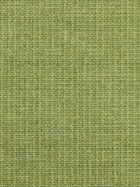 Scalamandre SC 000427257 GRASS HIGHLAND CHENILLE Fabric - Eade's Wallpaper