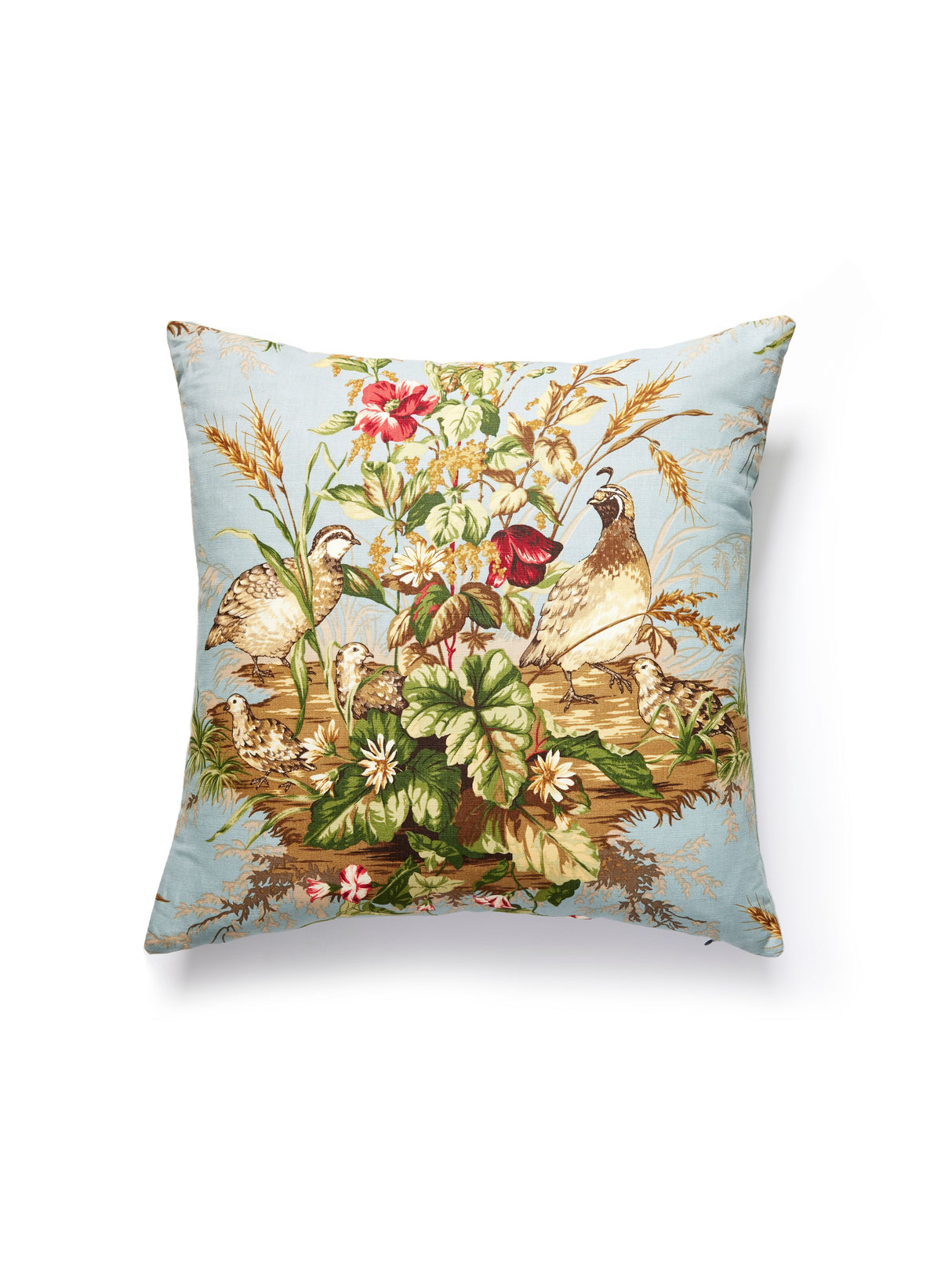 Scalamandre SC 0004EDWINPILL EDWIN'S COVEY PILLOW - Pillow C