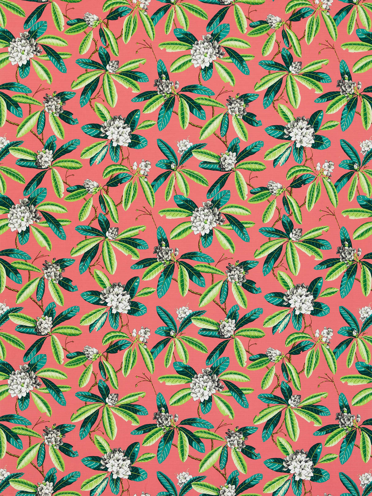 Scalamandre SC 000516454M FLAMINGO RHODODENDRON - OUTDOOR Fabric - Eade's Wallpaper
