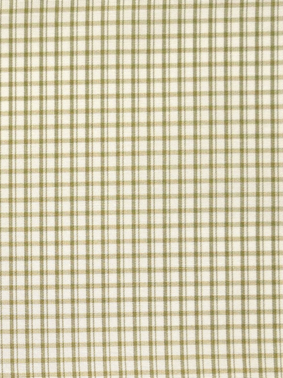Scalamandre SC 000526983 LEAF ASTOR CHECK Fabric - Eade's Wallpaper