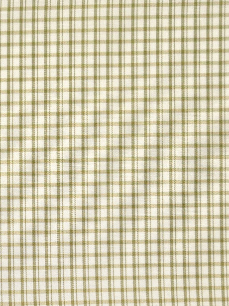 Scalamandre SC 000526983 LEAF ASTOR CHECK Fabric - Eade's Wallpaper