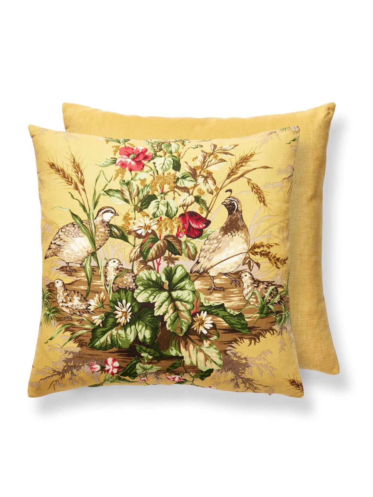Scalamandre SC 0005EDWINPILL EDWIN'S COVEY PILLOW - Pillow C